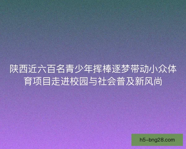 陕西近六百名青少年挥棒逐梦带动小众体育项目走进校园与社会普及新风尚