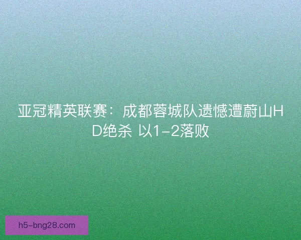 亚冠精英联赛：成都蓉城队遗憾遭蔚山HD绝杀 以1-2落败