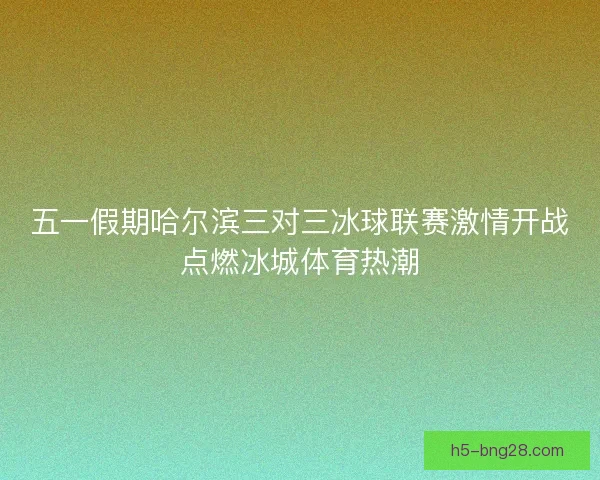 五一假期哈尔滨三对三冰球联赛激情开战点燃冰城体育热潮